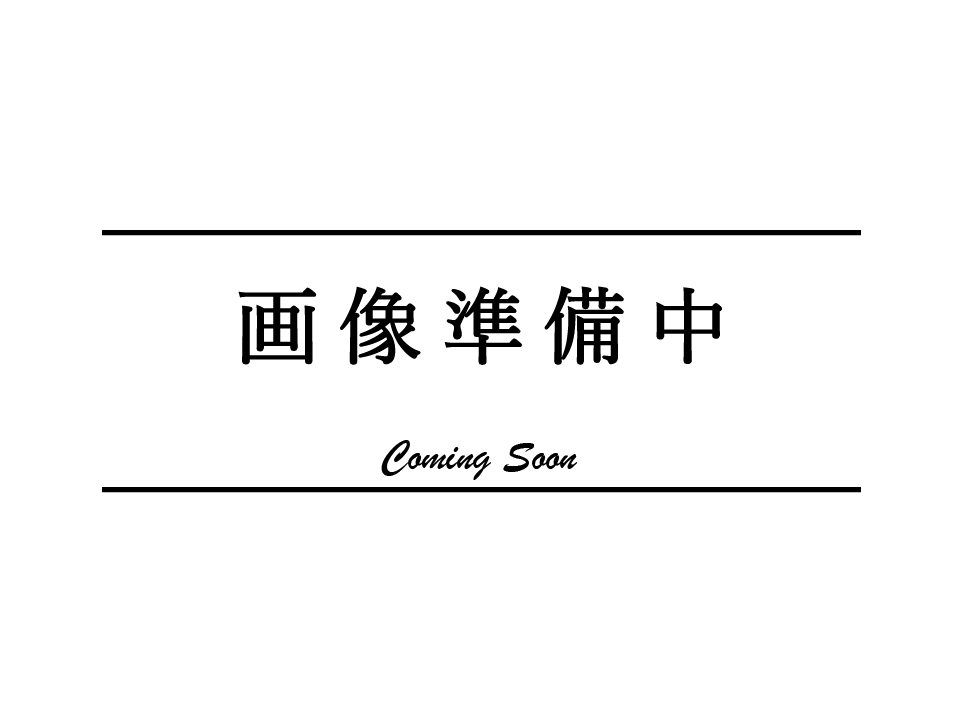 画像準備中(4.3).png